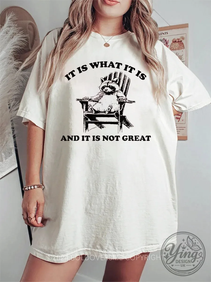 It Is What It Is Raccoon Funny Quote Vintage Style T-Shirt